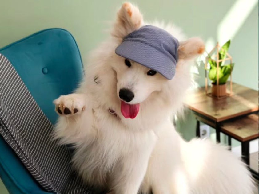 Sua melhor compania é muito bem vinda